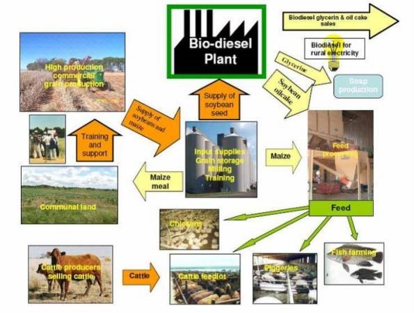 Socio Economic Development Model